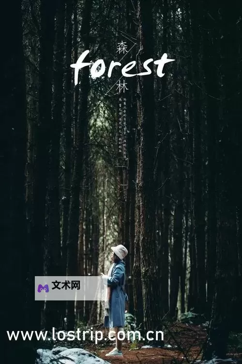 探索仙踪林在线视频:畅享神秘奇幻之旅图1