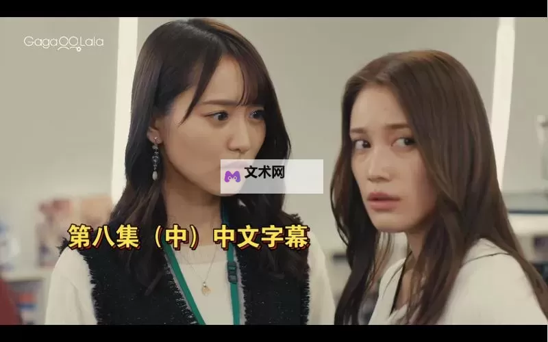 解决中文字字幕在线乱码视频的方法与技巧图1