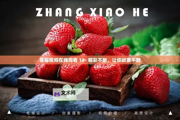 畅享精彩内容：草莓视频在线无线观看全攻略图1