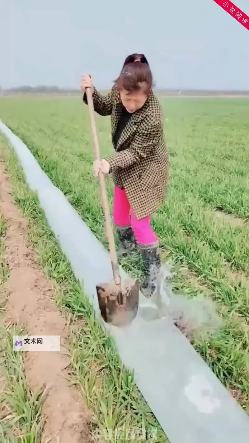 在女儿身上耕田:乡村妈妈的心灵耕作之路图1