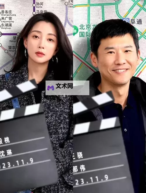 丈夫不在的正午肘光：一段孤独时光的静谧叙事图1