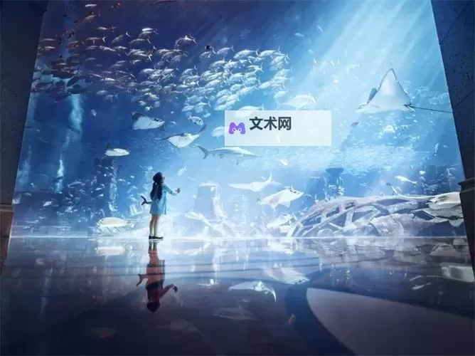 《星空》新亚特兰蒂斯城贸易管理局位置及路线 贸易管理局在哪图1