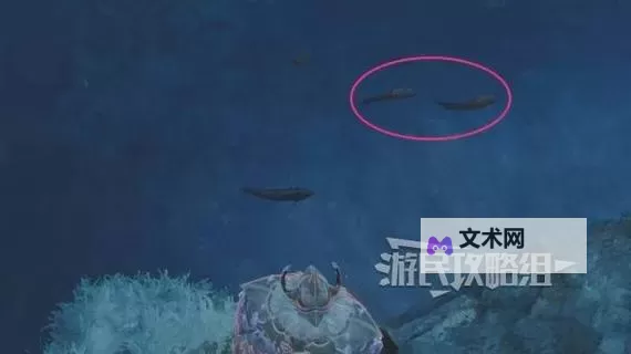 《怪物猎人荒野》带卵弓鳍鱼快速获取方法 带卵弓鳍鱼怎么钓图1