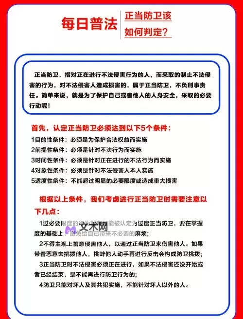 正当防卫4怎么调中文?详细操作指南与设置方法图1