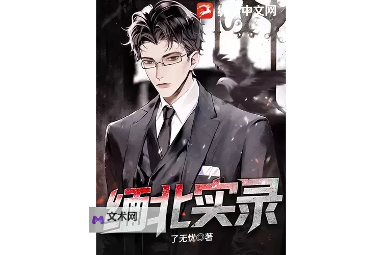 《缅北实录原版在线观看：真实再现缅甸北部的震撼瞬间》图1