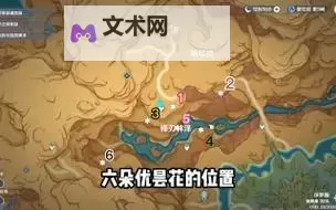 《原神》3.6版6处忧昙花位置分享图1