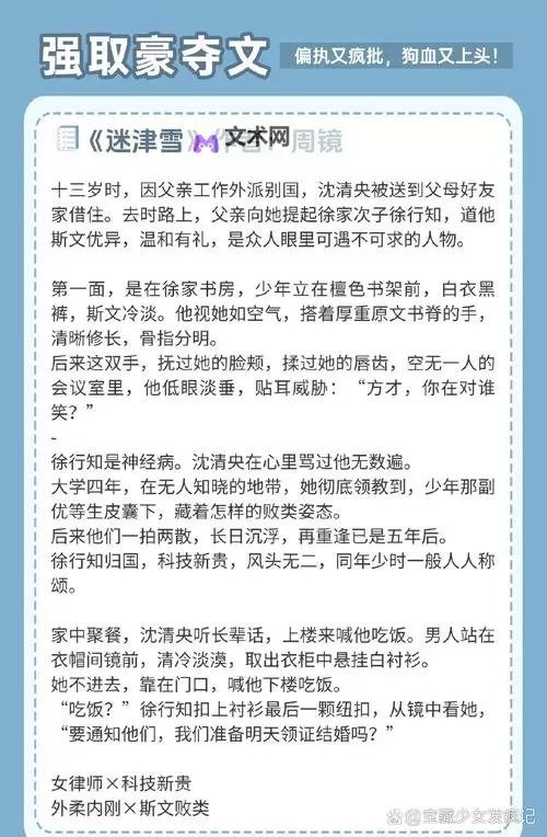 有力缓慢而坚定的进入小说:探索细节中的力量与坚持图1
