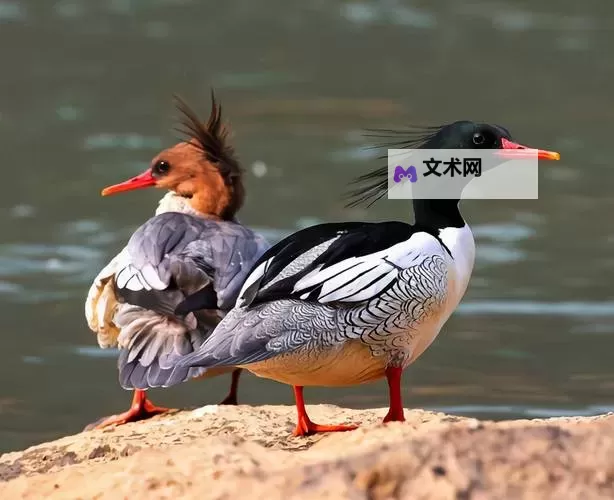 神偷4 全任务点地图一览图1