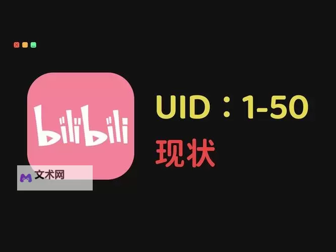 如何解决中文字幕乱码问题:中文乱码在B站上的常见原因与解决方案图2