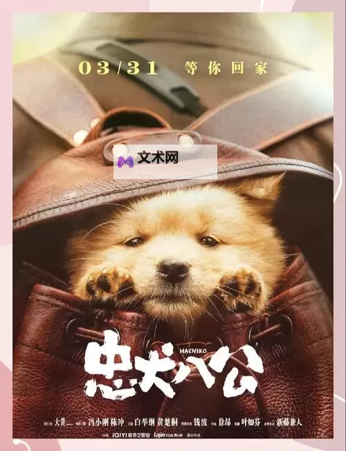 感人至深！忠犬八公的故事百度影音完整版免费在线观看图1