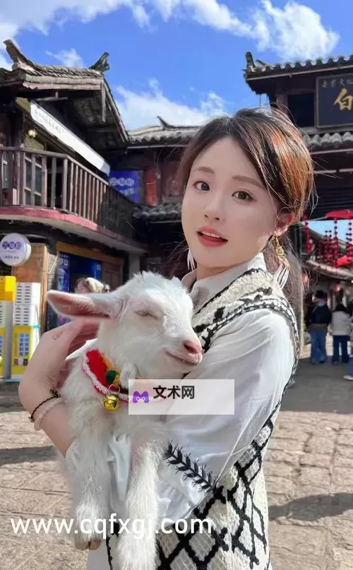 YY影视奇领6080电视剧：经典怀旧再现热潮图1