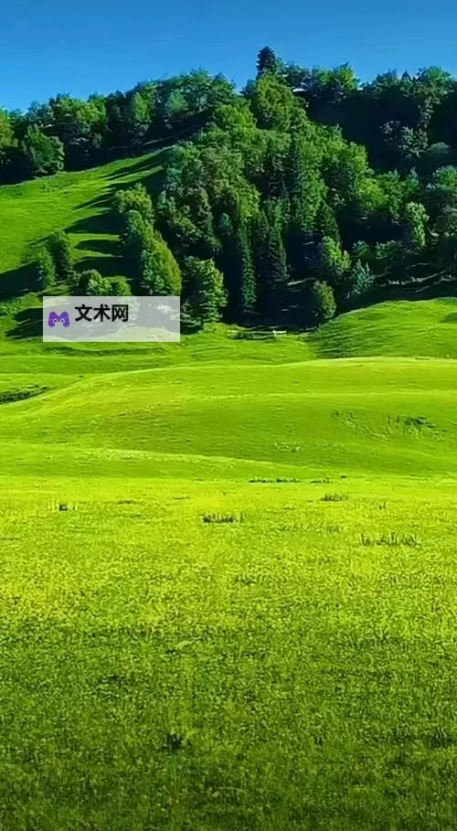 久久青青草原：童年记忆中的绿色童话世界图1