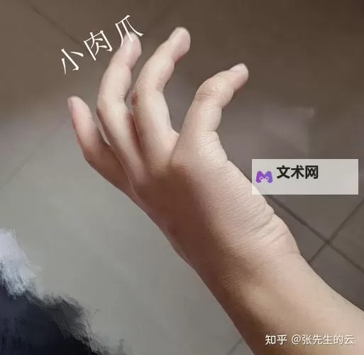 坐在上面摇是一种什么体验知乎:真实分享令人忍俊不禁的感受图1