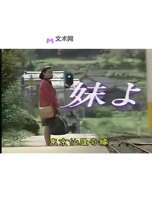 最新一本道DVD更新：免费观看高清最新内容！图1