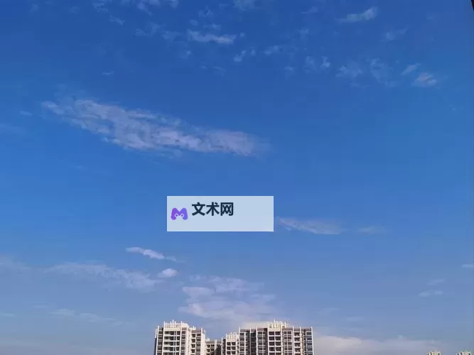 奥丁王冠双开挂机软件推荐  怎么双开奥丁王冠详细图文教程图1