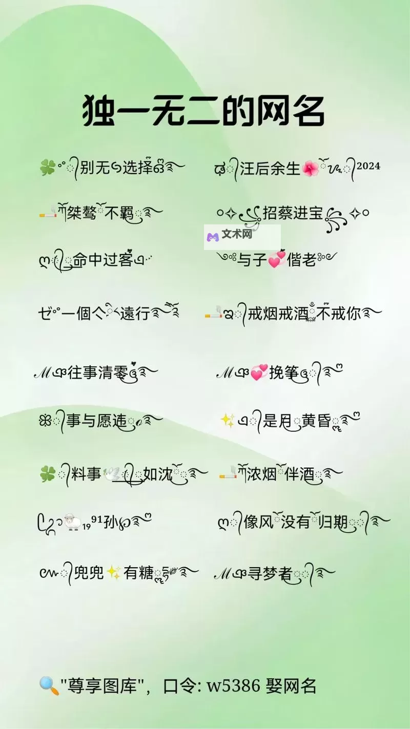 2024最新网名发布：独一无二的创意网名大全图2