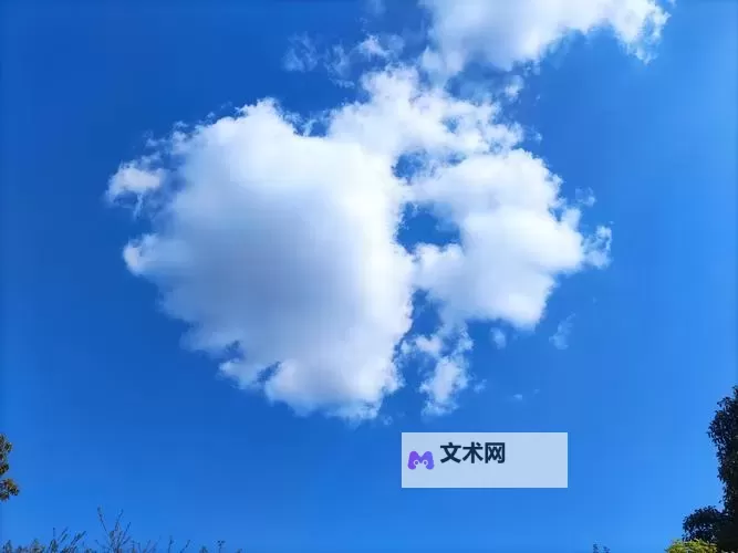 《REPO》枪支无限子弹BUG分享图1