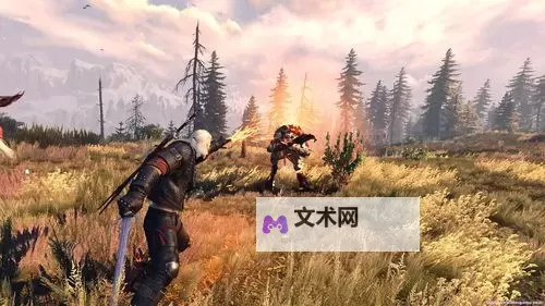 《巫师3》1.22版刷钱BUG方法详细介绍 1.22版怎么刷钱图2
