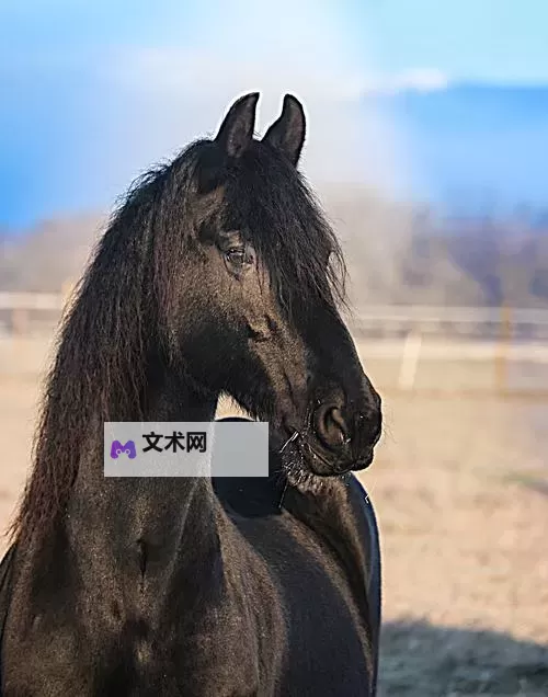 探索最新的ZOOM动物马：科技与自然的完美融合图1