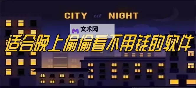 只可以晚上偷偷看的东西：隐藏在黑夜中的秘密宝藏图1