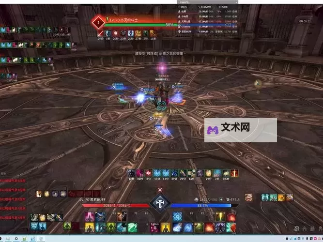 神谕之战（Tera） 无锁定战斗图文教学图1