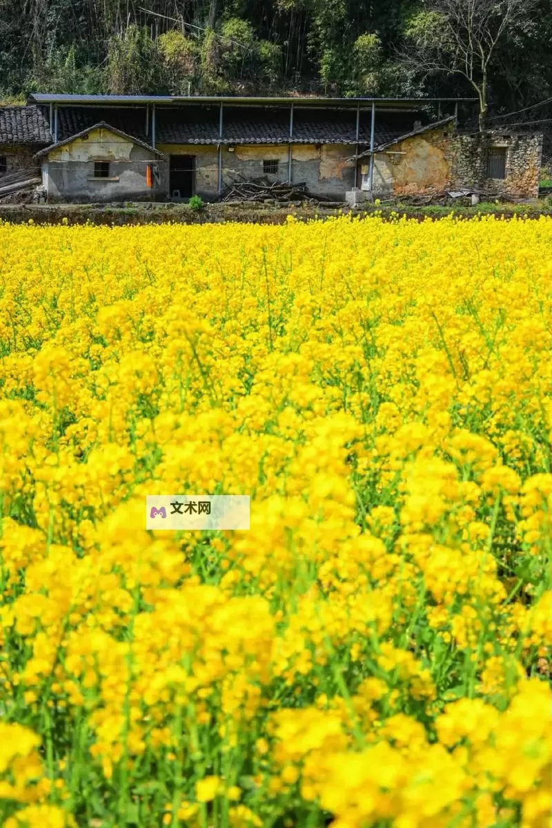 傲世江湖挂机软件&双开软件推荐  轻松搞定傲世江湖双开和挂机图1