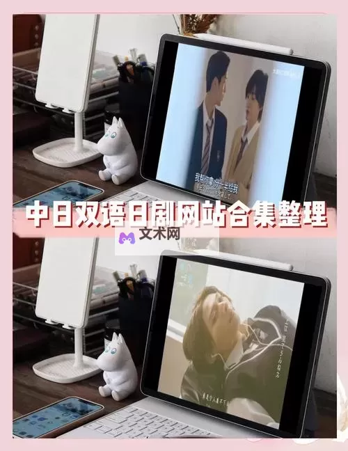 解决中日文字字幕乱码视频的方法与技巧图1
