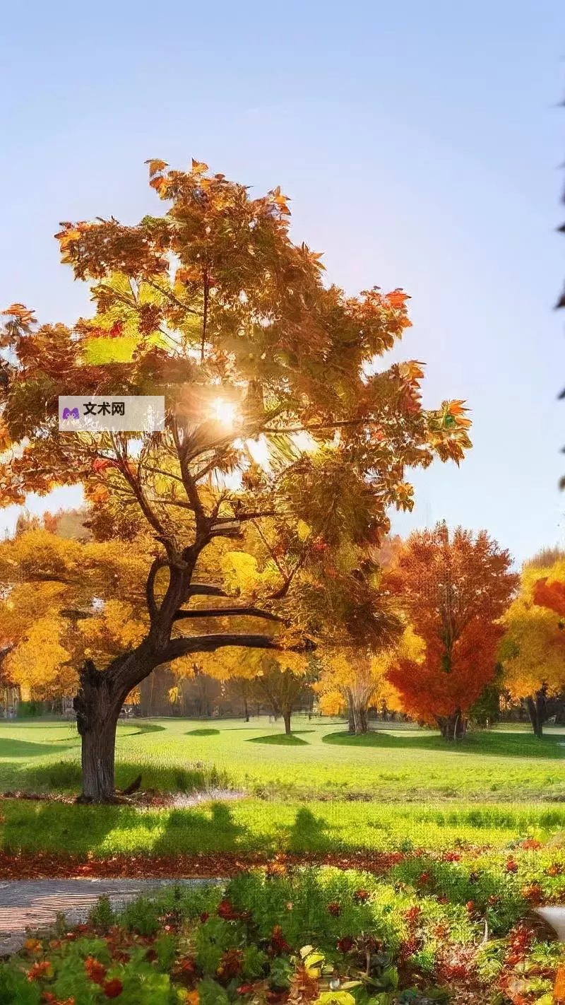 探索全新娱乐体验:X8X8拨牐拨牐X8免费视频8文字全解析图1