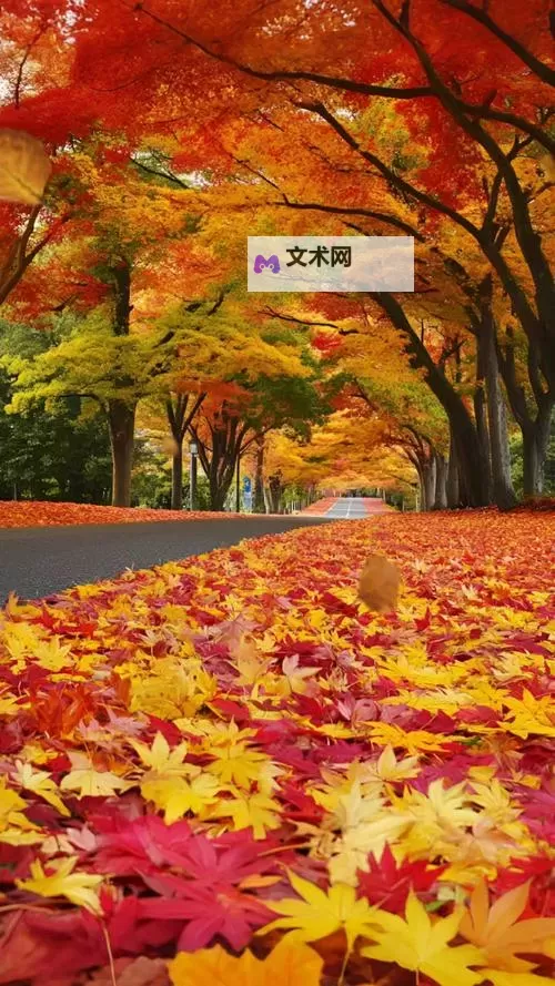 探索全新娱乐体验:X8X8拨牐拨牐X8免费视频8文字全解析图2