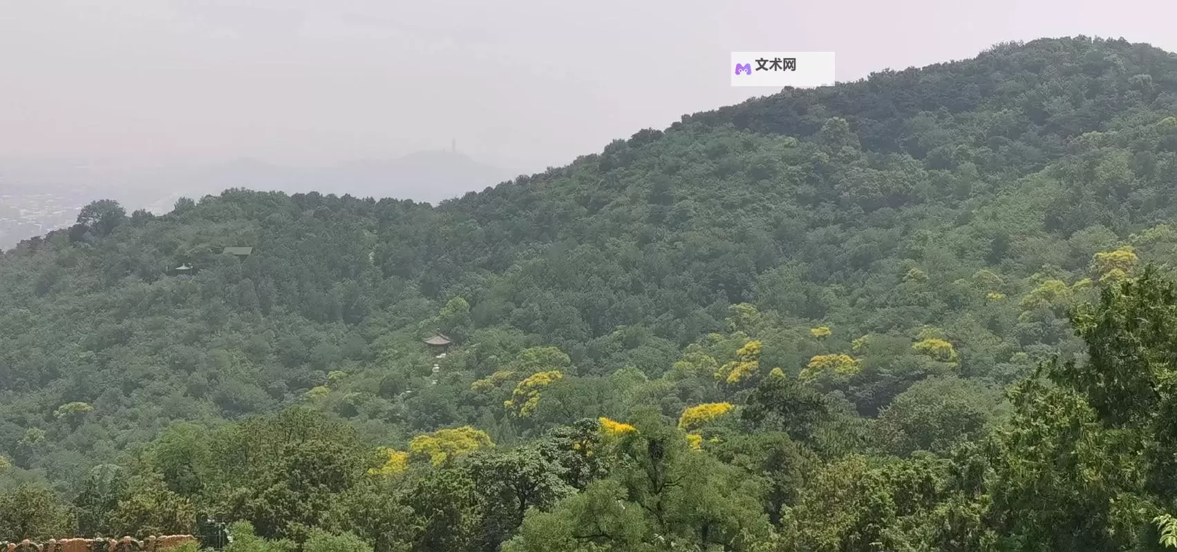 九色porn蝌蚪:奇幻色彩中的童趣世界图1