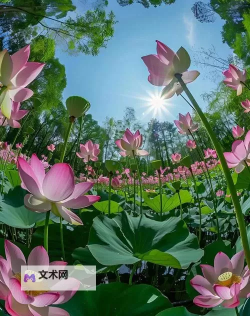 浪漫影域ldquo今日更新内容分享｜最新影视资讯与精彩推荐图1