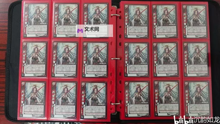 《三国志大战》武将科普篇——王异图1