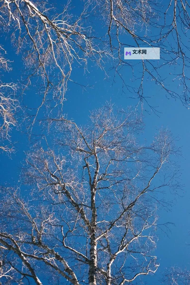 大都督双开挂机软件推荐 怎么双开大都督详细图文教程图1