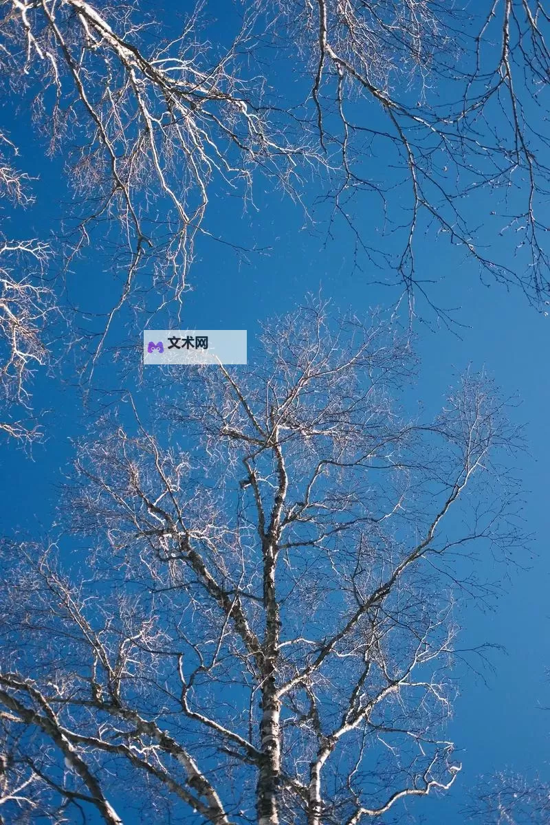 大都督双开挂机软件推荐 怎么双开大都督详细图文教程图1