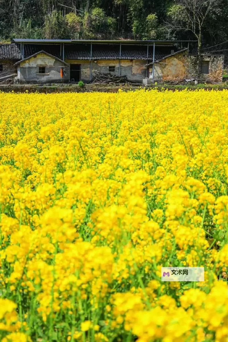 废土2 强制修理罗迪亚电塔小技巧图2
