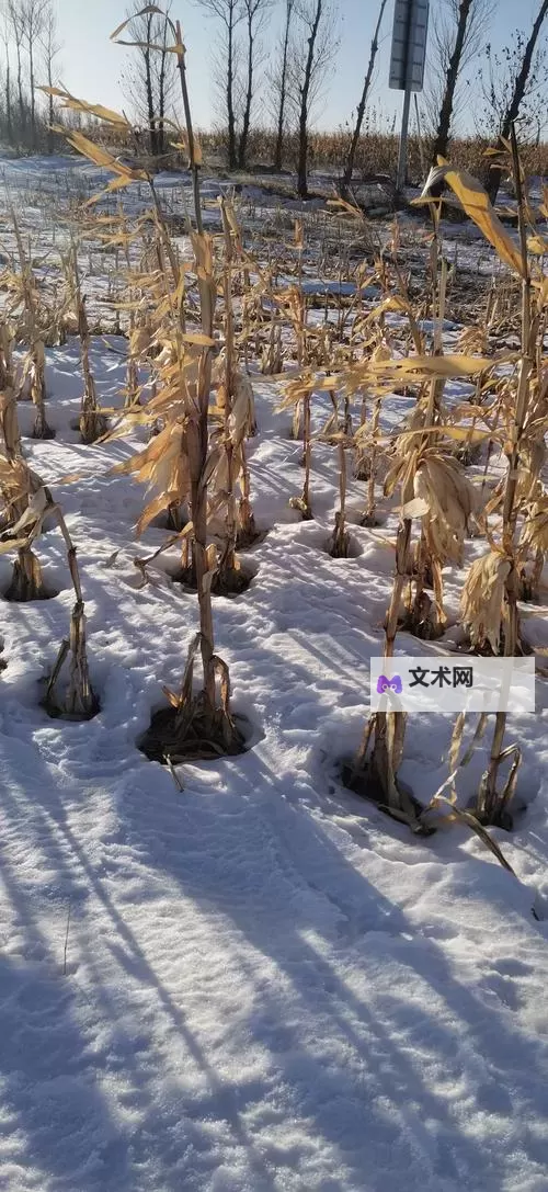 大都督双开挂机软件推荐 怎么双开大都督详细图文教程图2