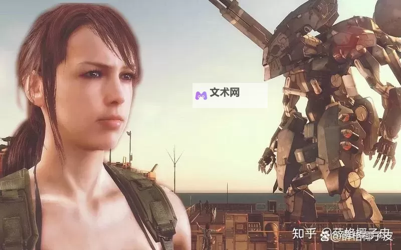 《合金装备5幻痛》难度选择说明 难度怎么调图1