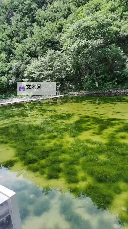 探索精彩绝美的星空天美免费视频观看，尽享唯美视觉盛宴图1