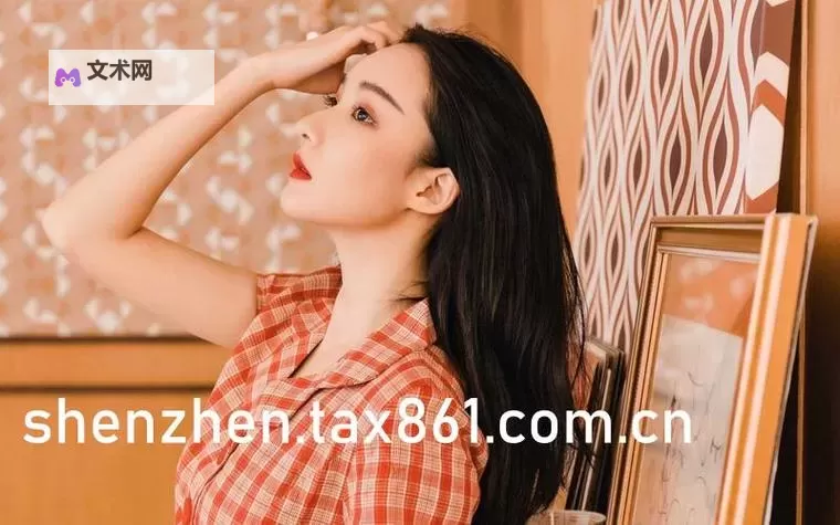 美国10次:解析国产传媒在一区二区三区的发展现状与未来趋势图1