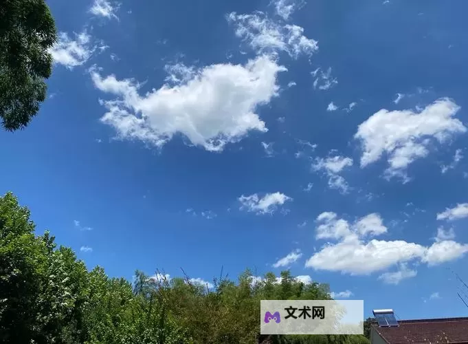 自由成熟性西元视频:穿越时代的影像与成长之旅图1