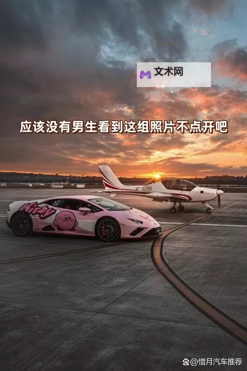 夜色里的诱惑:在车里就迫不及待要你图1