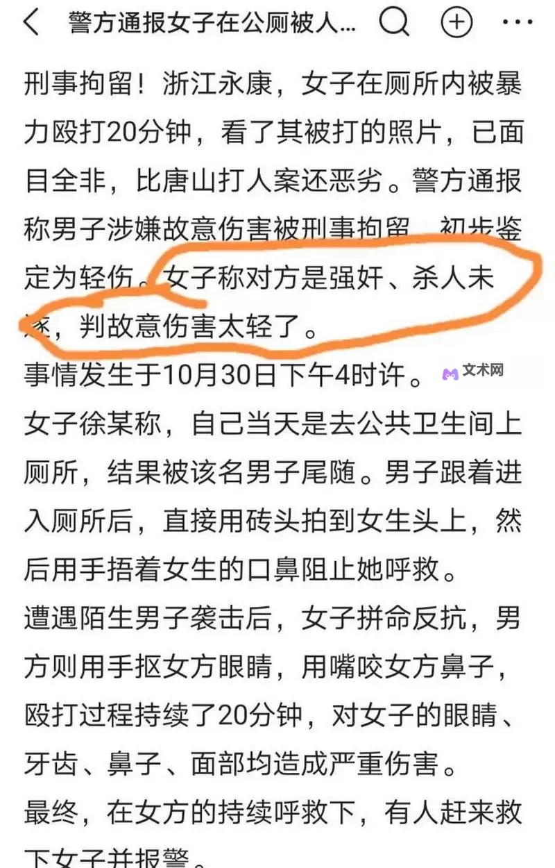 在公厕被打女子回应:事件引发公众关注与性别暴力议题讨论图1