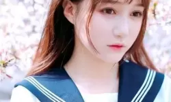水莓100在线观看视频免费：高清完整版免费在线观看，今日更新