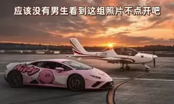 夜色里的诱惑：在车里就迫不及待要你
