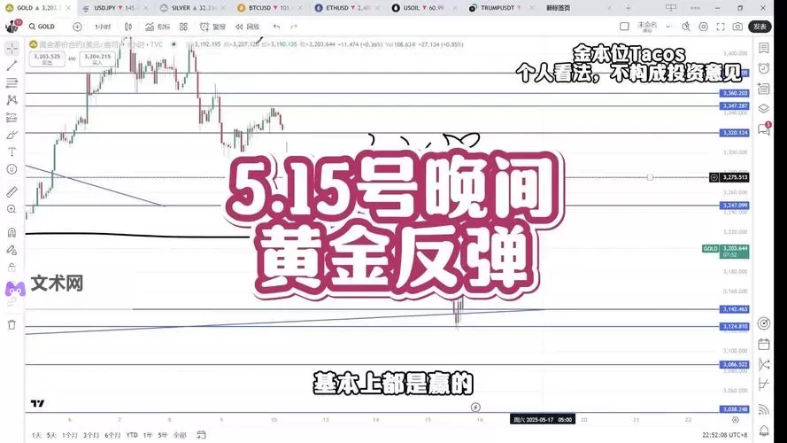 中文在线5月16日快速反弹：市场回暖信号初现，投资者情绪明显回升图1