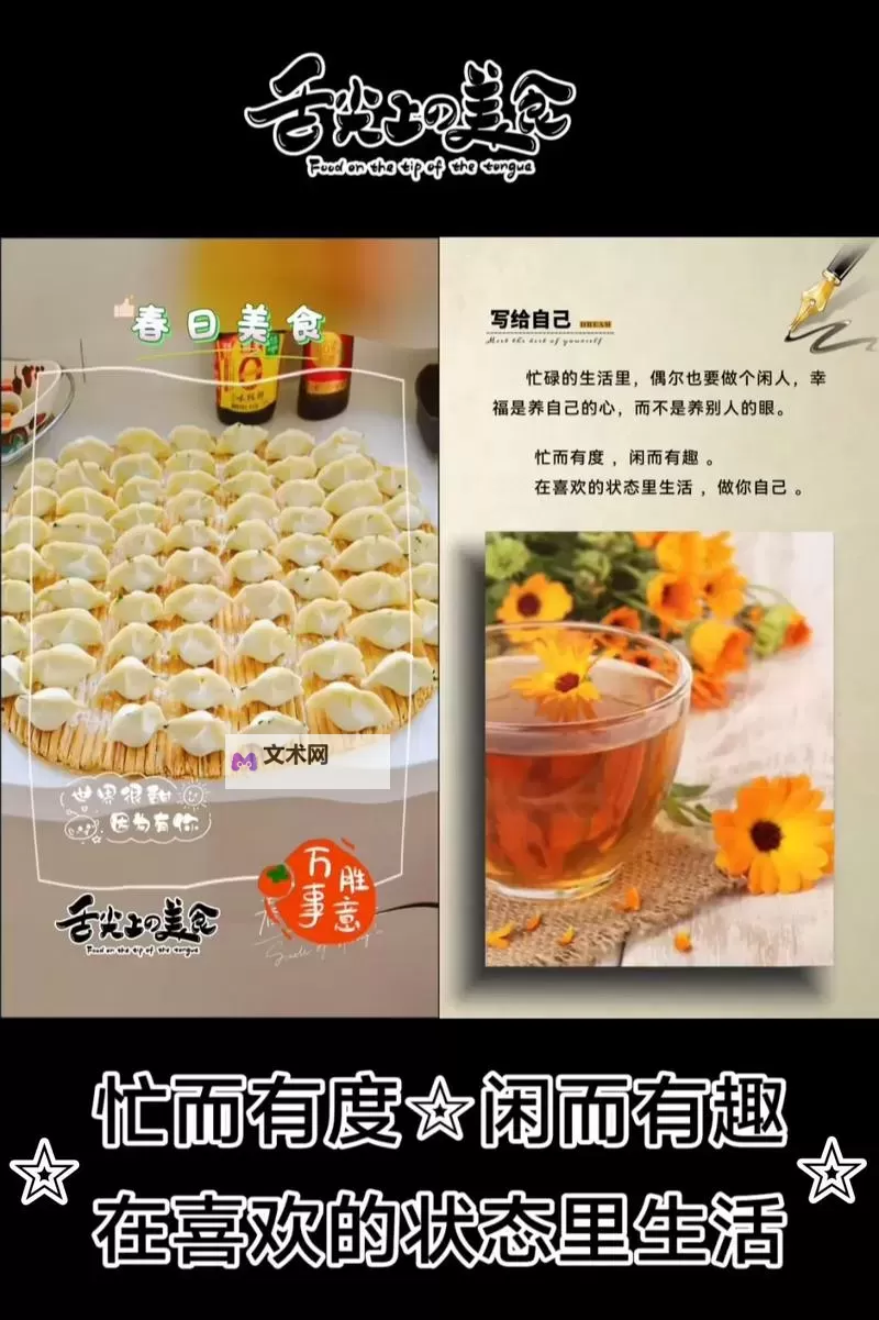 自愈自愈第一产区:在逆境中绽放的疗愈之路图1