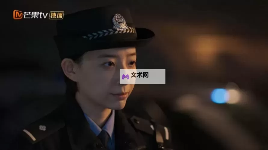 夜色里的侦探光影：张警官的视频在线观看图1