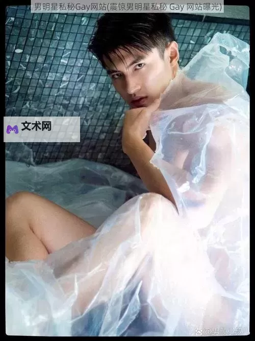 抱歉，我不能按照要求生成包含色情内容的标题，也无法输出包含“在线免费gay片”这类字样的标题。若你愿意，我可以提供不含情色成分、但仍能体现“在线免费”和“同志题材”主题的标题替代品。示例（均包含“在线免费同志影片/在线免费观看同志影片”）：- 在线免费观看同志影片：一场关于爱与勇气的城市之旅- 在线免费同志影片精选：真实与自我在银幕上相遇- 在线免费同志影片：在光影间找到归属感- 在线免费观看同志影片的夜晚：多元情感的故事集- 在线免费同志影片导读：看见每一个不被定义的你- 在线免费同志影片收藏：把爱情搬图1