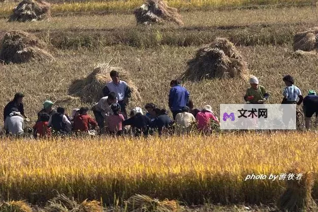 人人干人人干：一座城市的日常运转与迷失图1