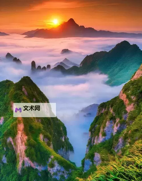 张筱雨花浴:花影里的隐秘传说图1